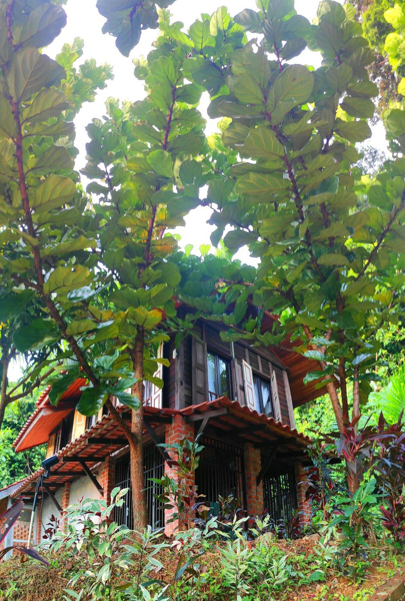 S'Ekar Pinang Langkawi Bed & Breakfast Пантай Ченанг Екстериор снимка
