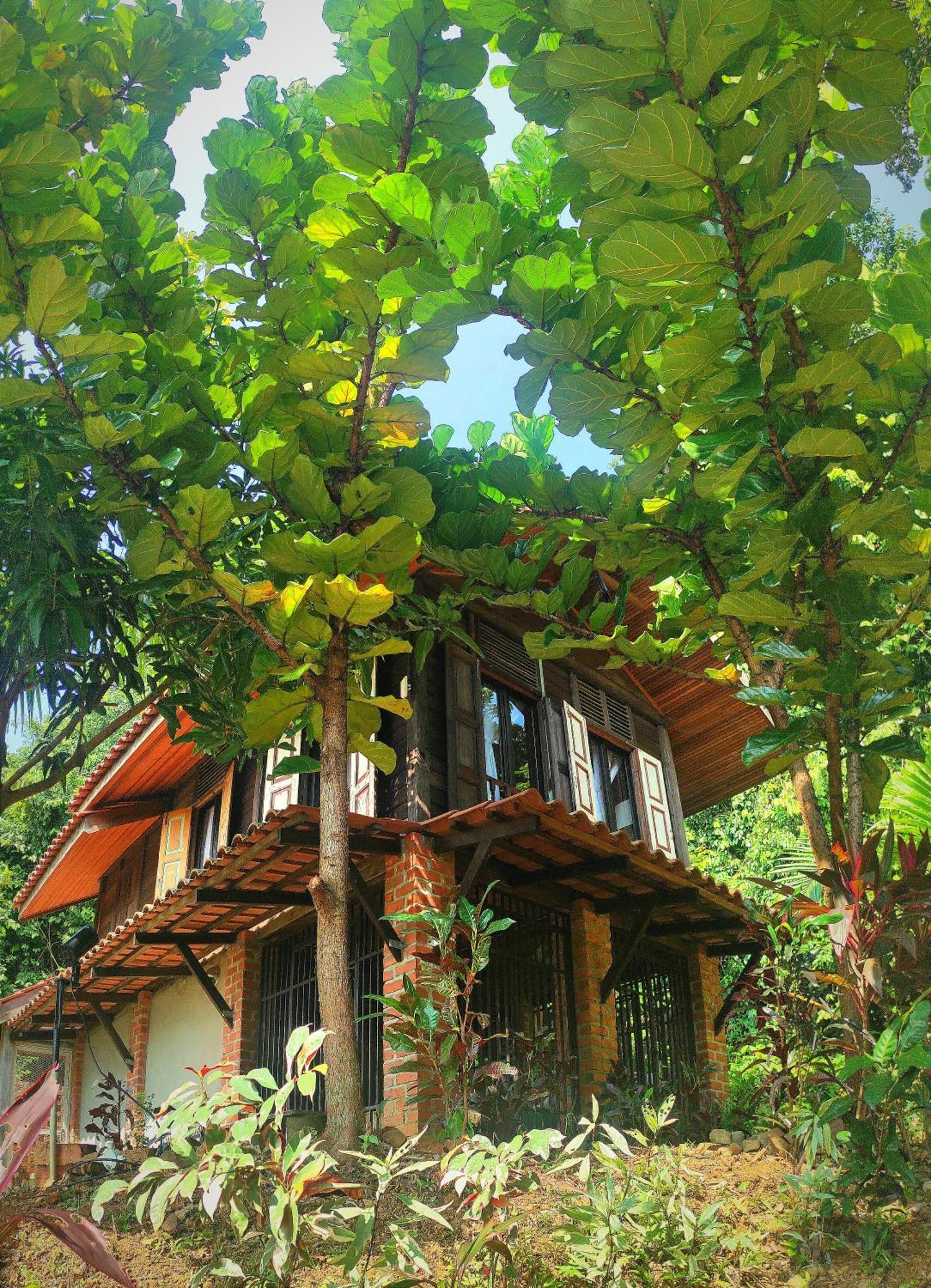 S'Ekar Pinang Langkawi Bed & Breakfast Пантай Ченанг Екстериор снимка